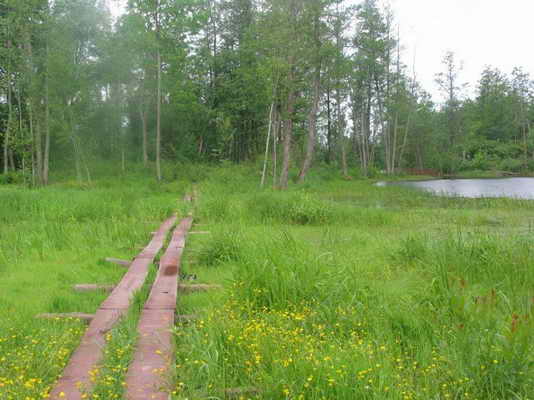 Pfad um die Seen Litauen Kirkilai Birzai