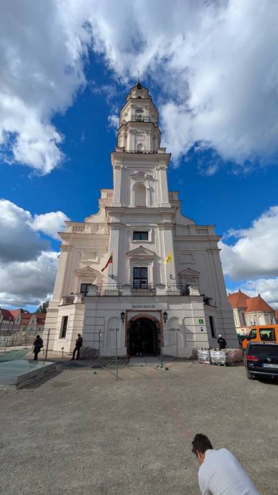 Kaunas Rathaus Weisser Schwan