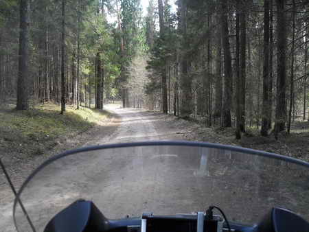 Waldweg Aukstaitija