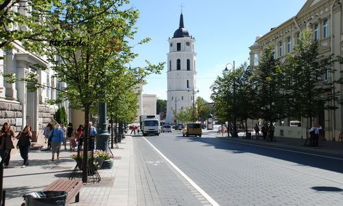 Vilnius: Blick auf die Kathedrale vom Gedimino Prospekt
