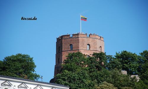 Gedimino Turm in Vilnius