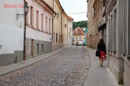 Uzuois Vilnius Ansichten